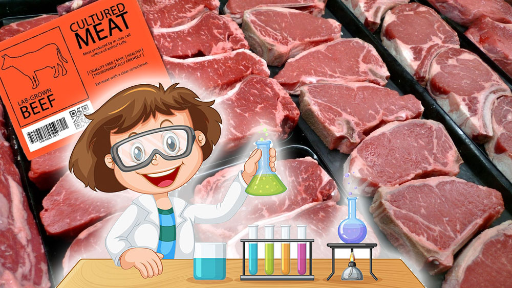 Lab-Grown Meat: Better for the Environment, but Not Vegan