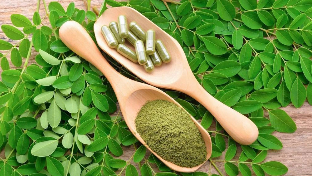 Moringa powder is made from the leaves of the moringa tree