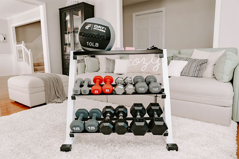 Dumbbells for Getting  Commercial Gym  Gains