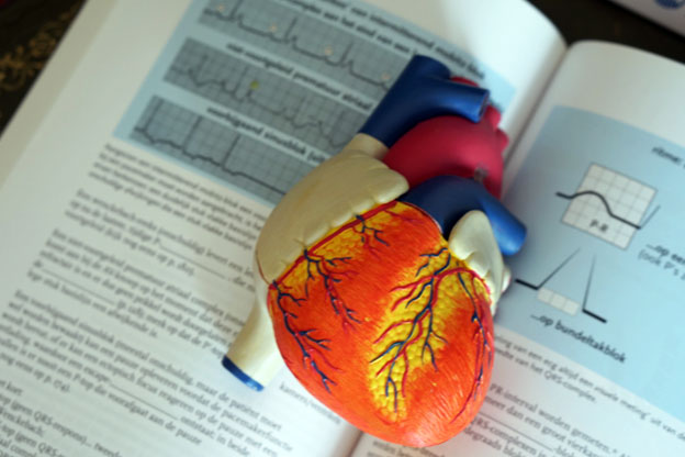 Understanding Heart Palpitations and Diet