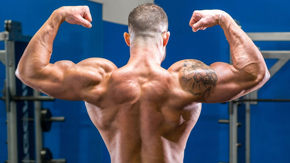 Build A Stronger Back: Barbell Back Exercises For A Powerful Physique