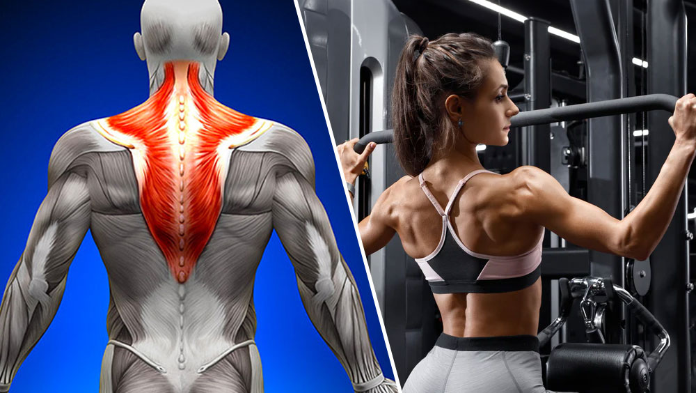 Improve Your Posture: Lower Trap Exercises For A Stronger Back