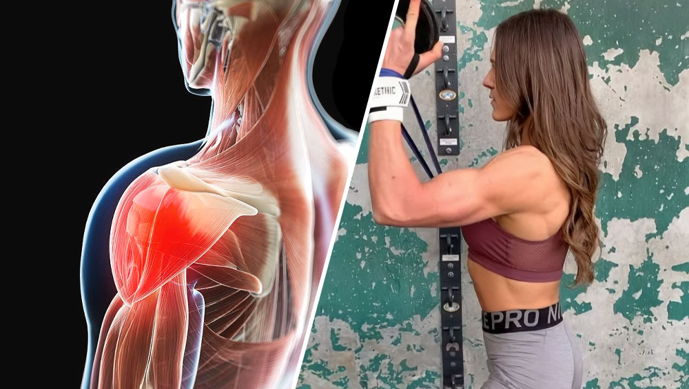 Strong And Sculpted Shoulders: Front Delt Exercises For A Powerful Upper Body