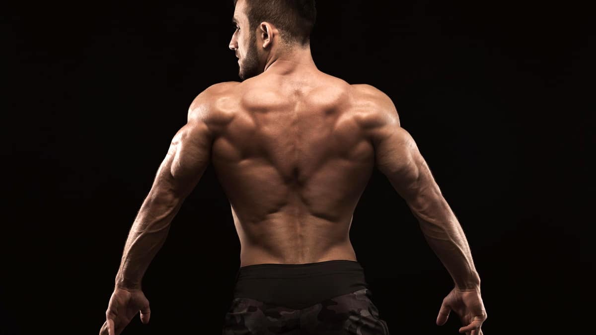 Strengthen Your Lats: Lower Lat Exercises For A Sculpted Back